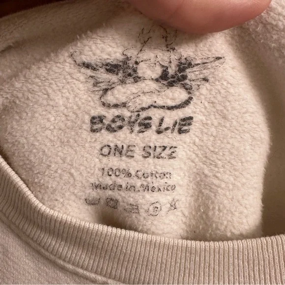 Boys Lie Sweatshirt - Picture 4 of 4